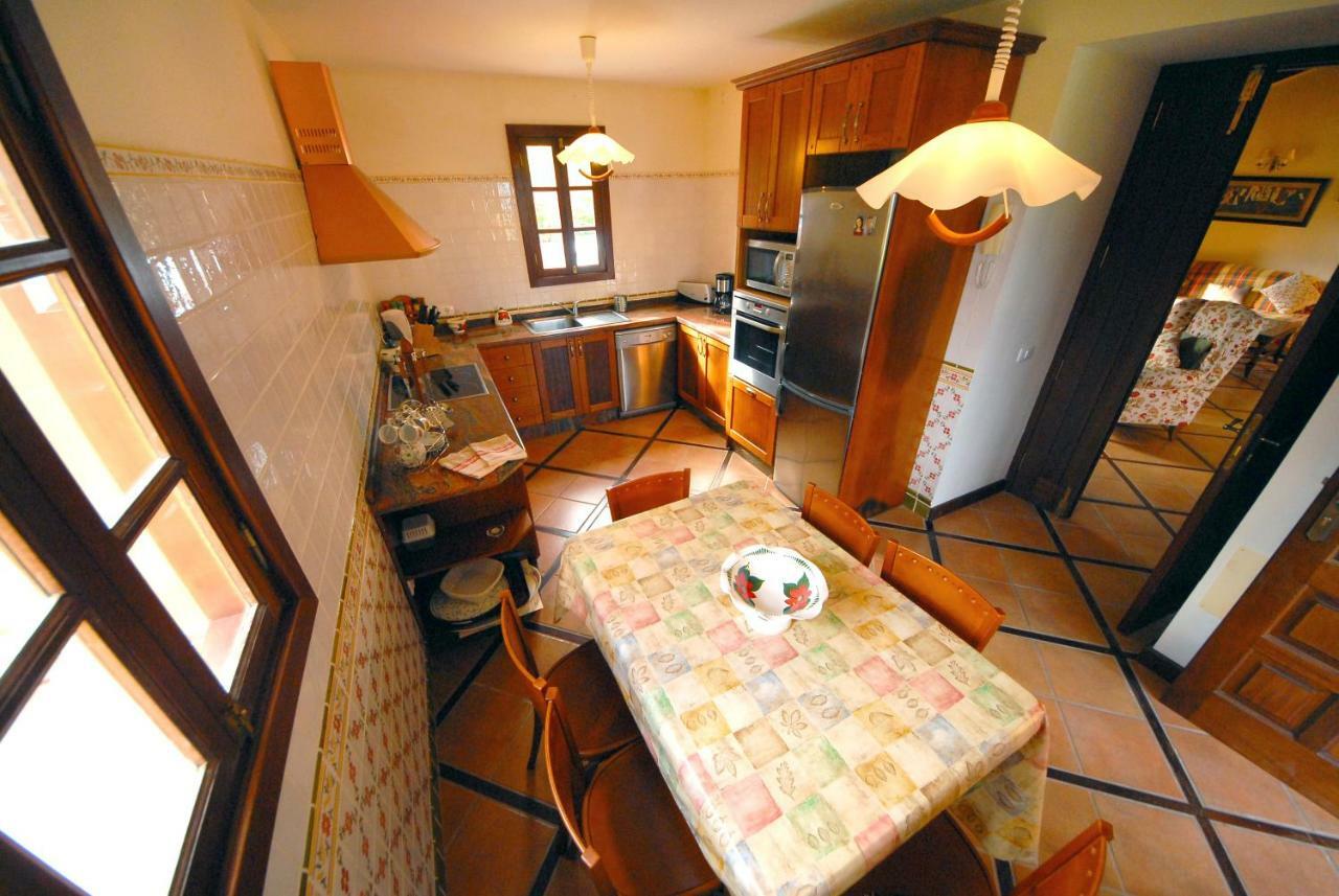 Hébergement de vacances Casa Strelizia - Puerto de la Cruz (Tenerife)
