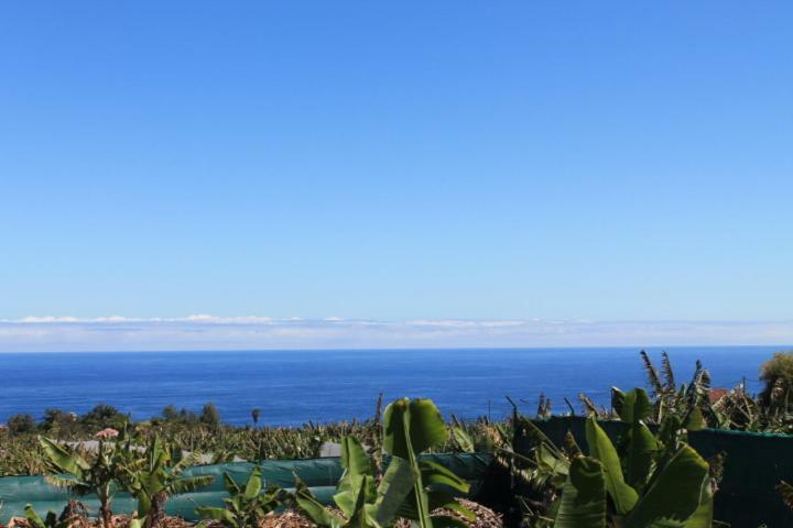 Casa de Férias Casa Strelizia - Puerto de la Cruz (Tenerife)